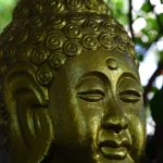 fws-slide-11-1775391139