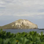 fws-slide-11-1775391448