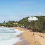 fws-slide-11-1775516086