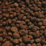 fws-slide-12-1775390979