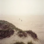 fws-slide-12-1775391451