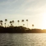 fws-slide-12-1775475909