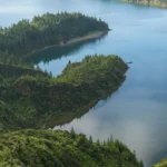 fws-slide-13-1775391453