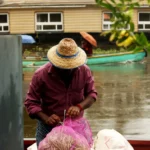 fws-slide-13-1775476405