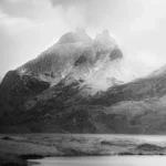 fws-slide-13-1775516091