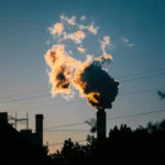 fws-slide-14-1775390983