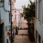 fws-slide-14-1775476407