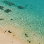 fws-slide-14-1775476644