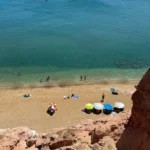 fws-slide-14-1775477036