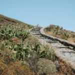 fws-slide-15-1775476410