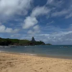 fws-slide-2-1775127617