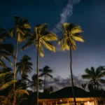 fws-slide-2-1775128584