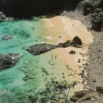 fws-slide-2-1775128706