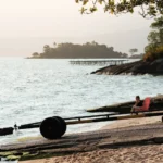 fws-slide-2-1775391421