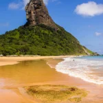 fws-slide-2-1775475866