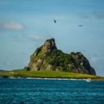 fws-slide-2-1775476994