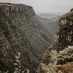 fws-slide-2-1775516296