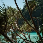 fws-slide-2-1775517147