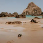 fws-slide-2-1776272110