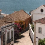 fws-slide-3-1775033556