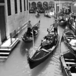 fws-slide-3-1775169951