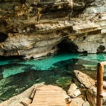 fws-slide-3-1775516299