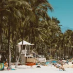 fws-slide-3-1775517152