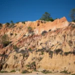 fws-slide-4-1775033561