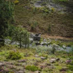 fws-slide-4-1775034403