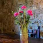 fws-slide-4-1775081676