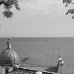 fws-slide-4-1775127621