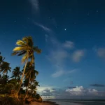 fws-slide-4-1775127773