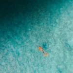 fws-slide-4-1775127875