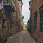 fws-slide-4-1775128378