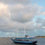 fws-slide-4-1775128589