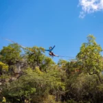 fws-slide-4-1775390953