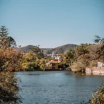 fws-slide-4-1775476615