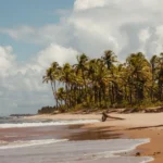 fws-slide-4-1775516691