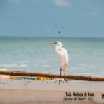 fws-slide-4-1775516930