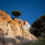 fws-slide-5-1774999239