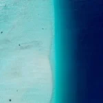 fws-slide-5-1775127624