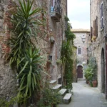 fws-slide-5-1775127880