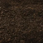 fws-slide-5-1775391118