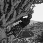 fws-slide-5-1775391429