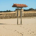 fws-slide-5-1775516694