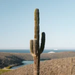 fws-slide-5-1775516933