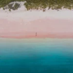 fws-slide-5-1775517159