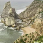 fws-slide-6-1774999242