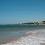 fws-slide-6-1775033946