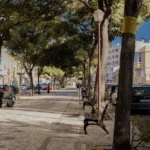 fws-slide-6-1775081684